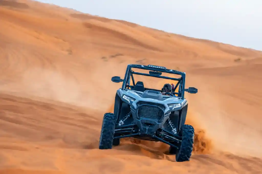Red Dunes Afternoon Buggy Tour (Family) - Al Badayer desert adventure