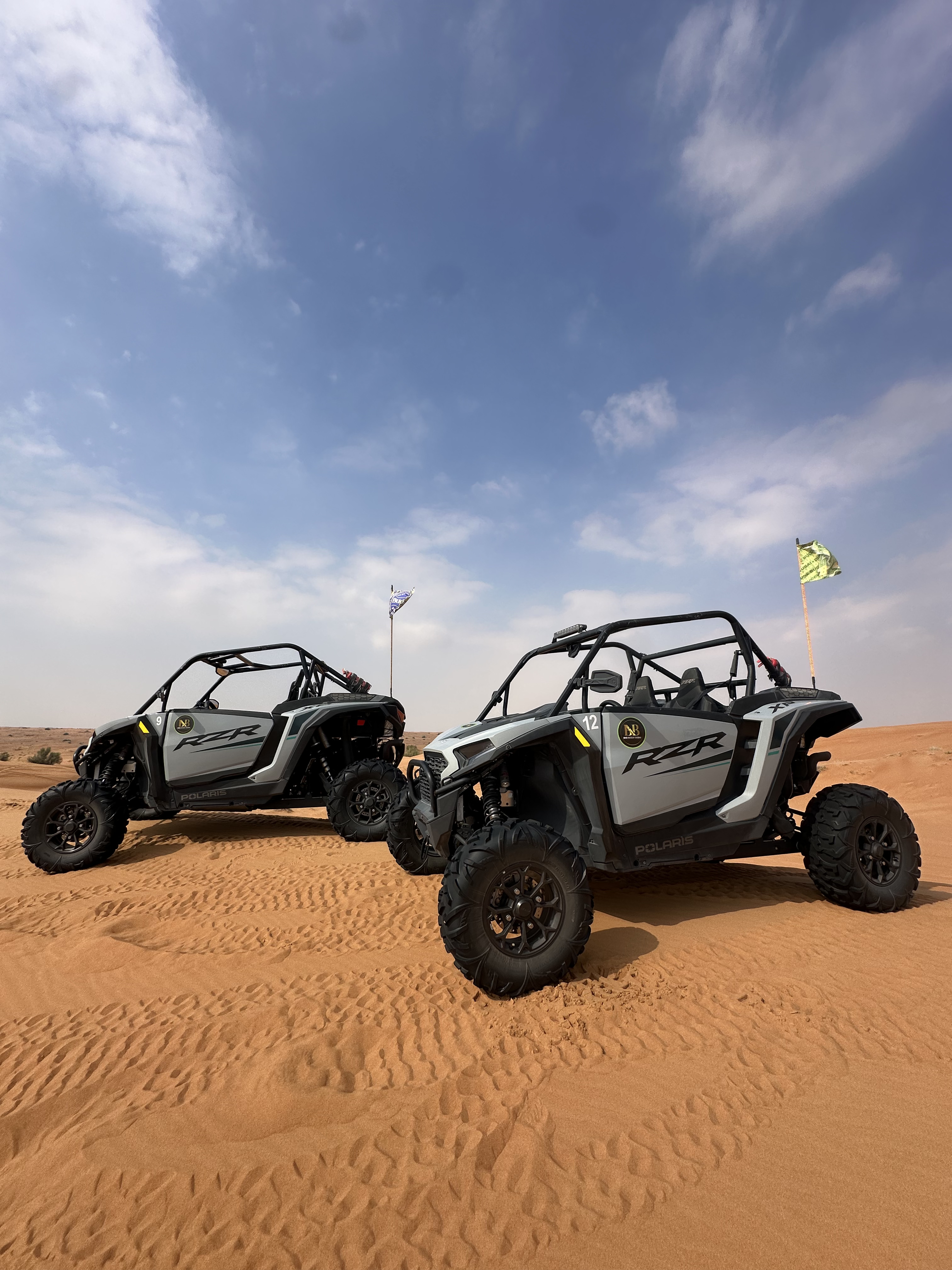 Red Dunes Afternoon Buggy Tour (Family) - desert tour Dubai
